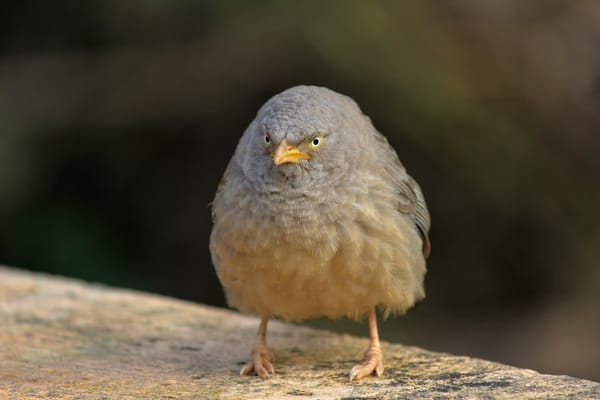 Brutally honest answers to 15 pointless questions our sector keeps asking itself