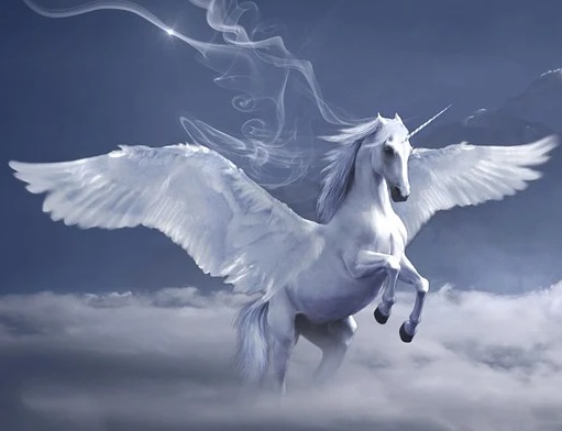 real unicorns found alive with wings